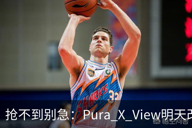 抢不到别急：Pura X View明天改“排队”，不用再卡点