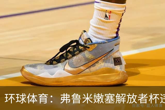环球体育：弗鲁米嫩塞解放者杯违规被罚9万美元