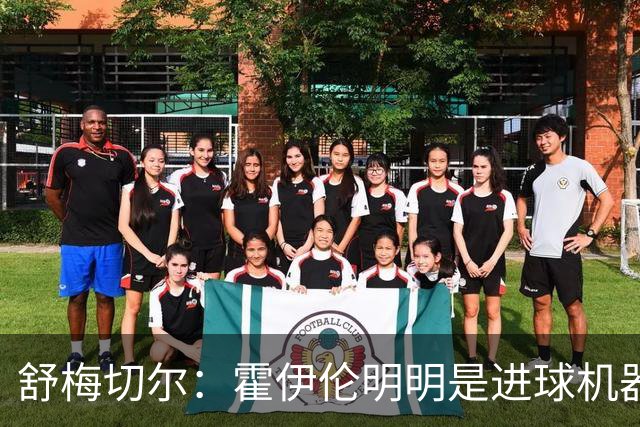 舒梅切尔：霍伊伦明明是进球机器，维韦尔来了偏要换成谢什科
